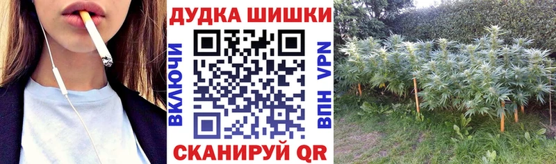 где купить наркоту  МЕГА как зайти  МАРИХУАНА SATIVA & INDICA  Махачкала 